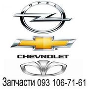 Поршня,  кольца,  вкладыши и друе запчасти Opel,   Daewoo,   Chevrolet